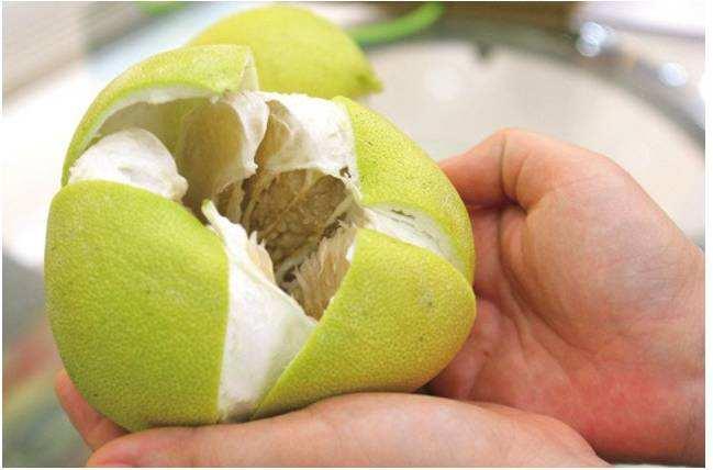 水果商贩,水果摊贩为什么不选椰子卖