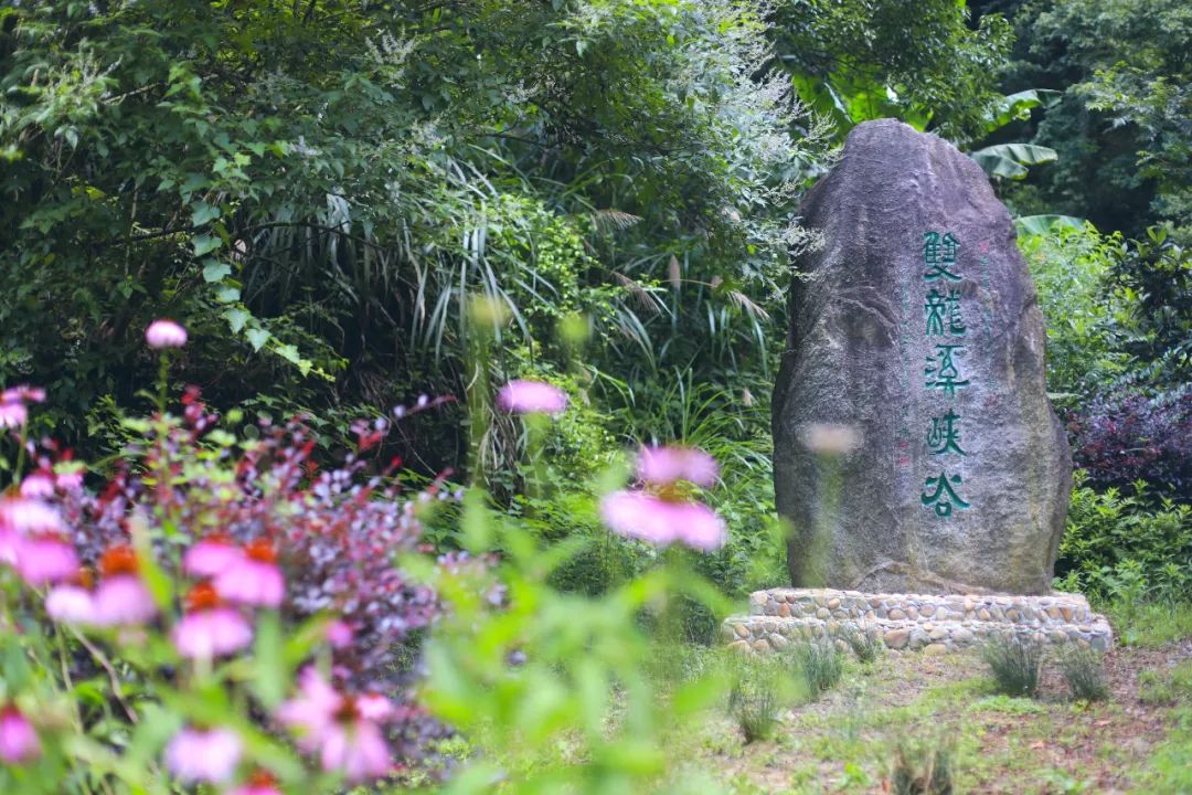 隐居酒店浙江,金华梧杉隐居民宿酒店
