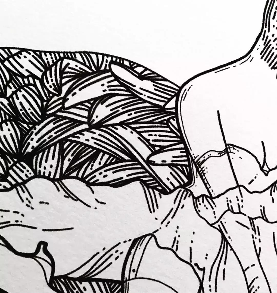 这一波手绘太给力了,绝对让你练完不厉害都难