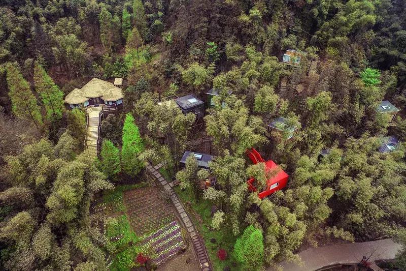 世警会真的来了吗,世警会即将举行完整版