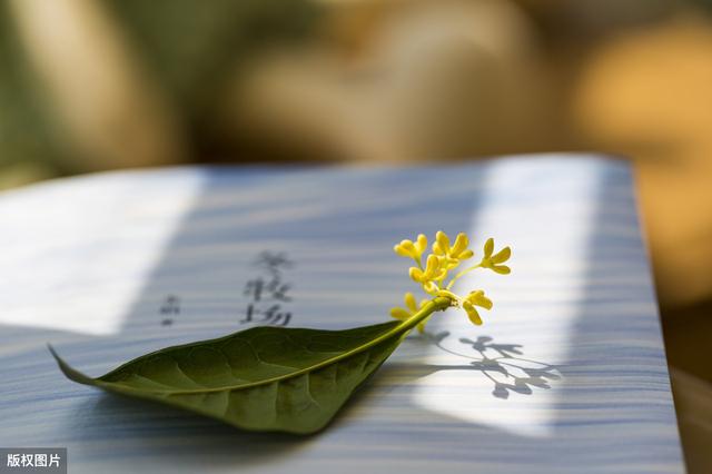 谢谢你重新来过我的世界,谢谢你来我的世界