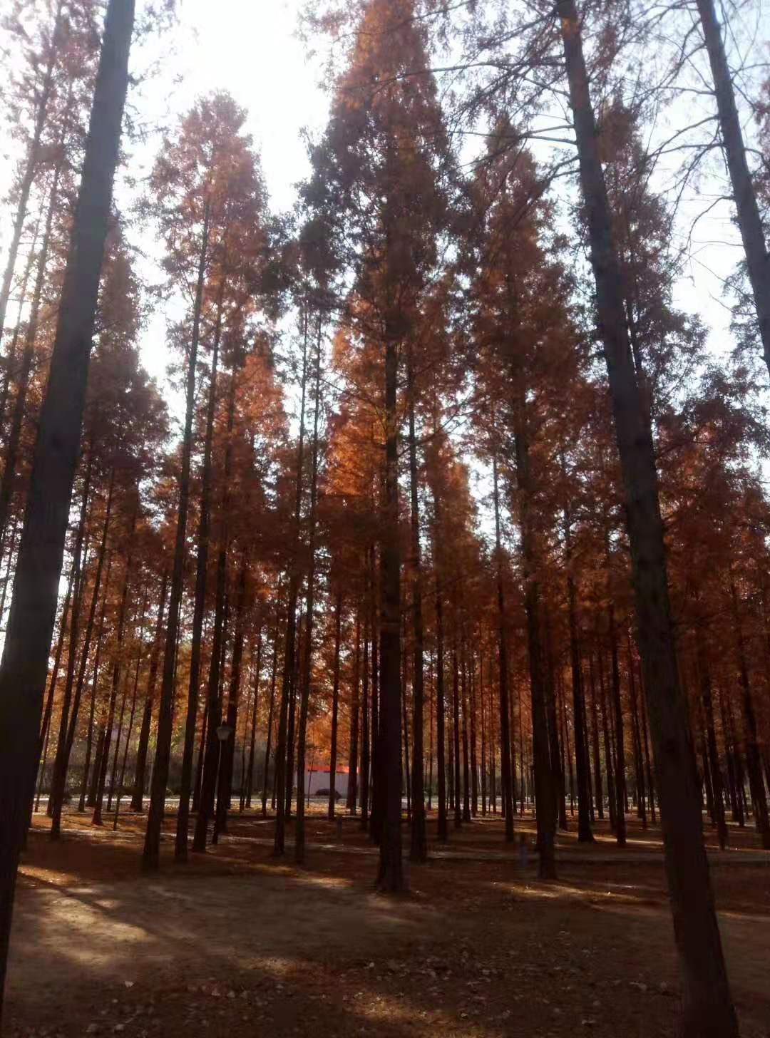 达活泉的春天图片,达活泉的秋景