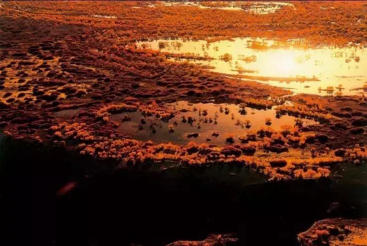 北疆的美完整版,北疆的景最美