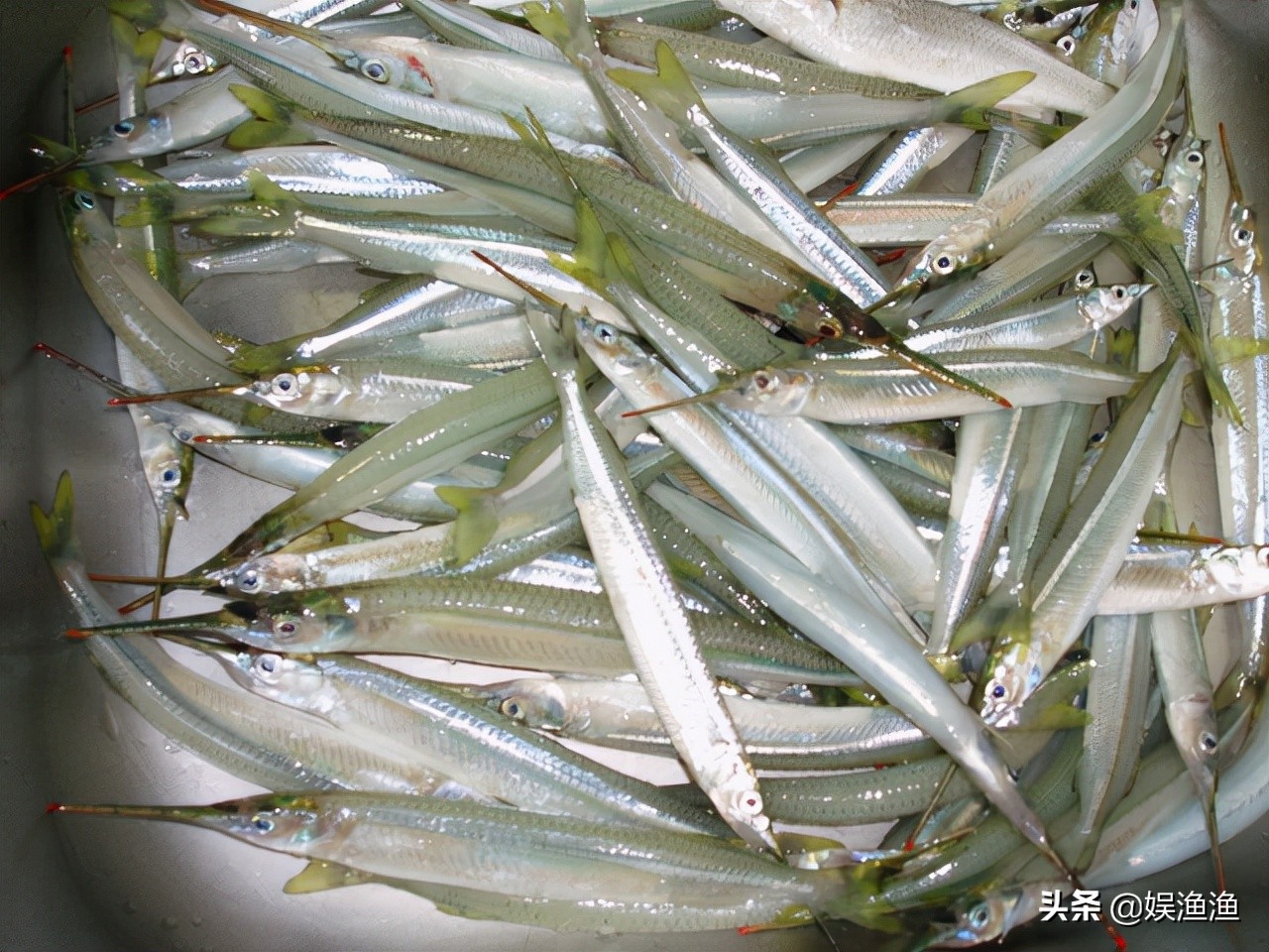 钓鱼的最佳时间段是什么,冬天钓鱼的最佳时间是几点到几点