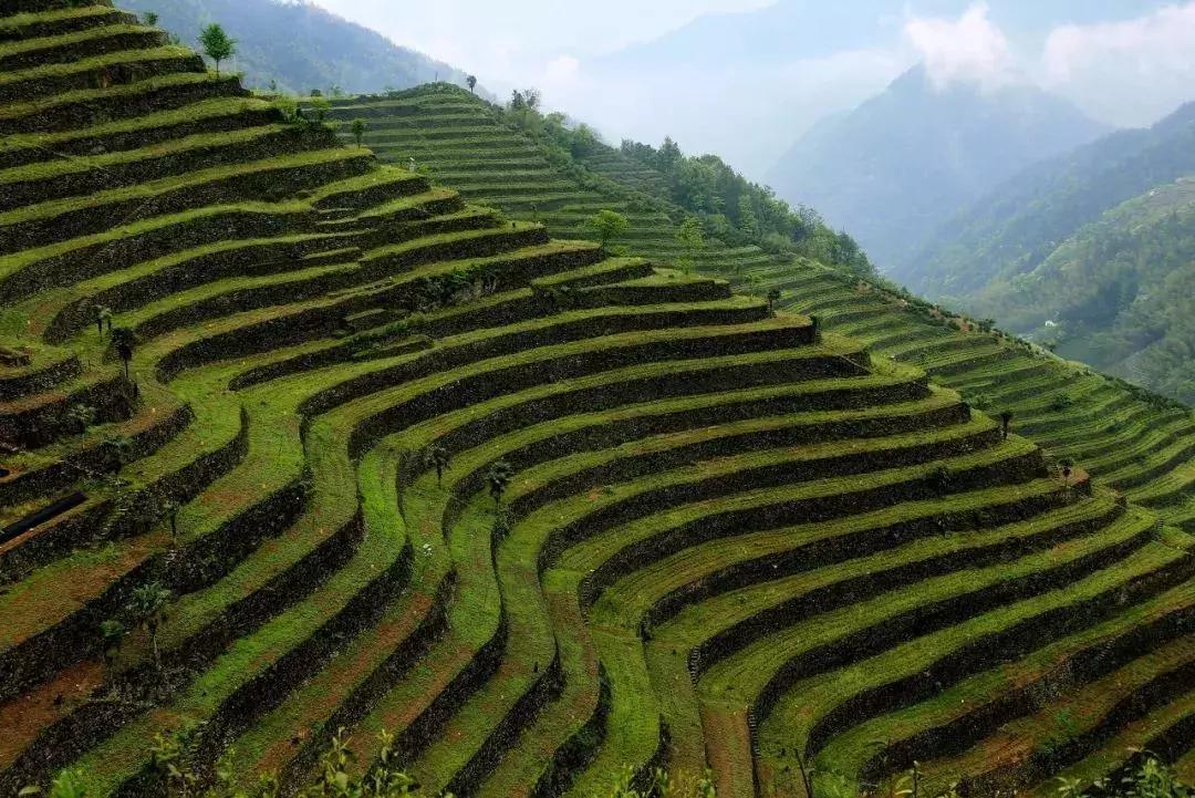 一个徽州惊艳全世界,徽州凭什么惊艳世界