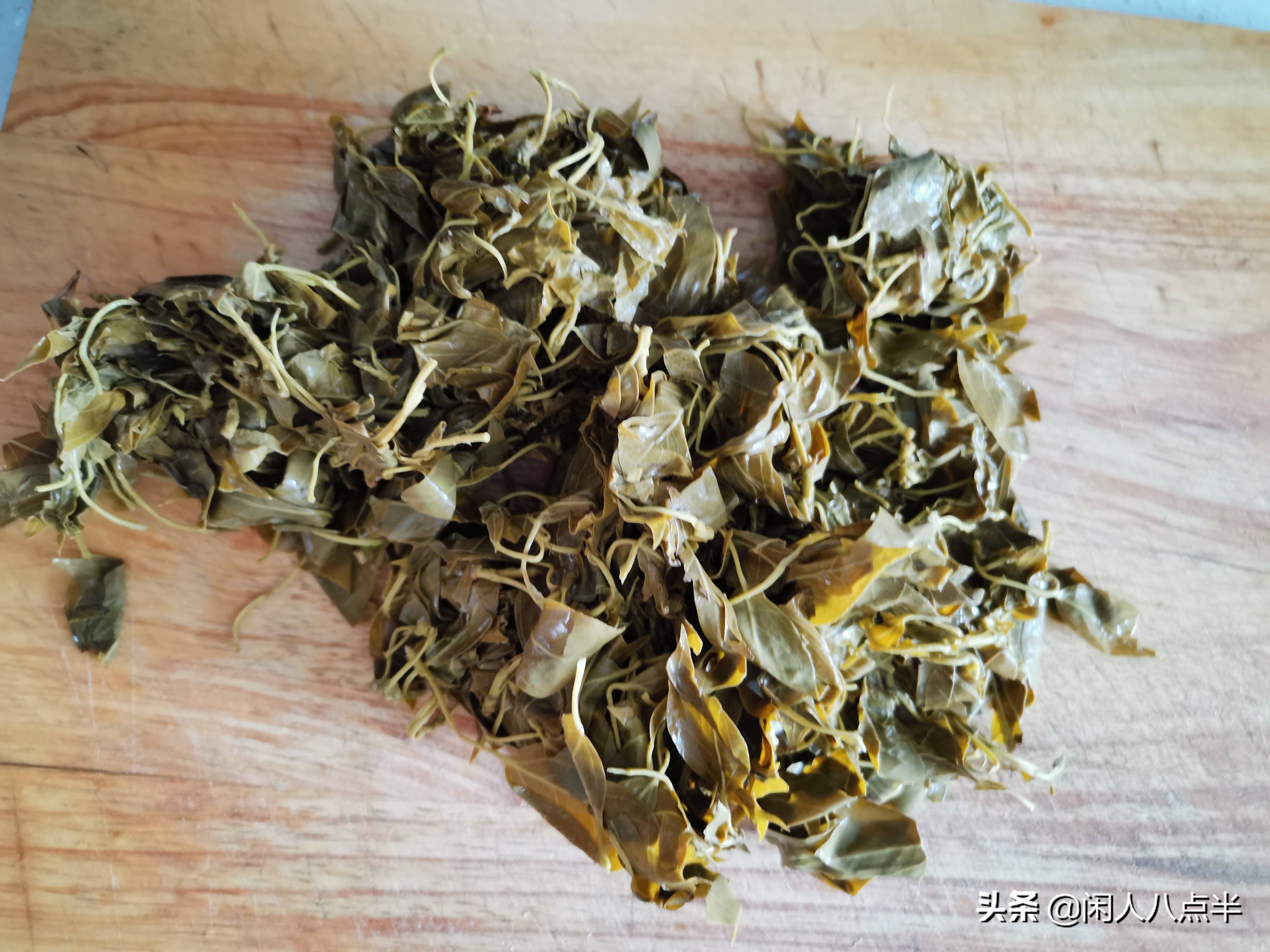 杨树叶子野菜,杨树苗这种野菜学名叫什么