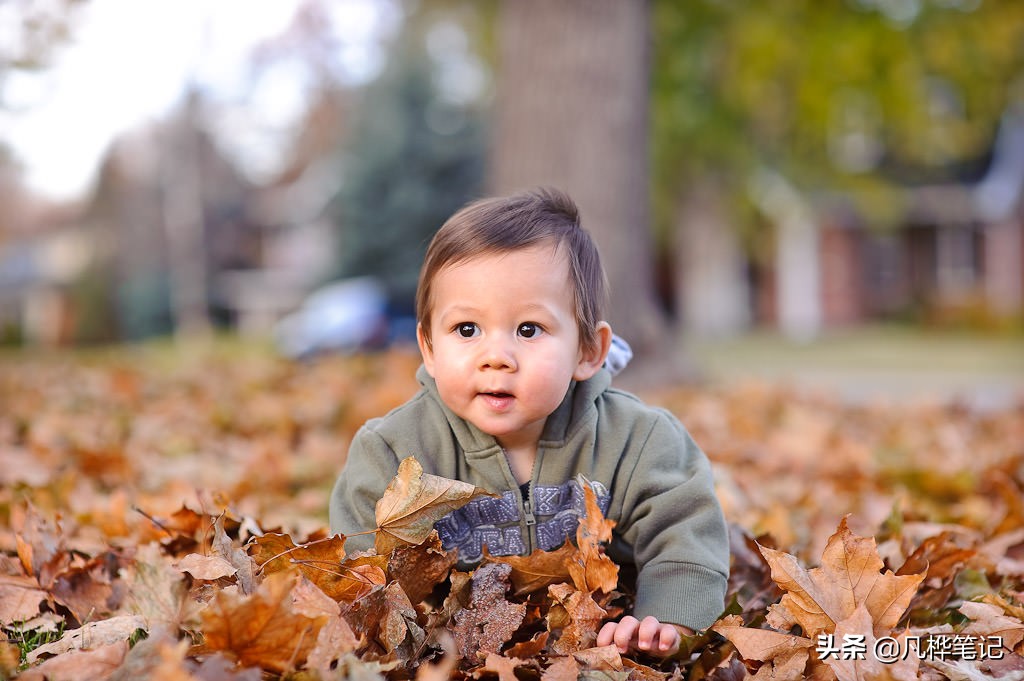 高颜值傻瓜相机,傻瓜复古相机