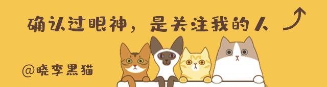 猫牙周炎自愈的最佳方法,猫咪牙周炎靠刷牙能痊愈嘛