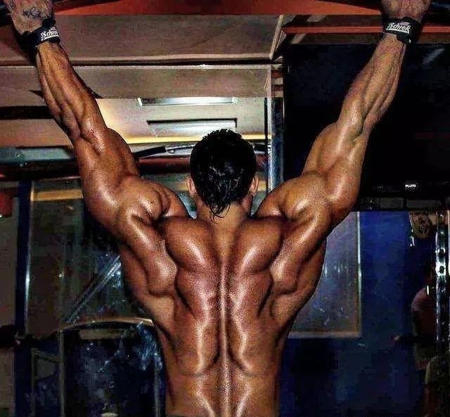 健身背部肌肉分布图,健身增肌背部肌肉怎么练