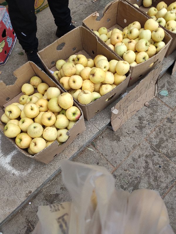 庄河最大早市,庄河南早市