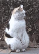 靠贴牌营收13亿！你盖的“南极人”还是精制羊毛被吗？