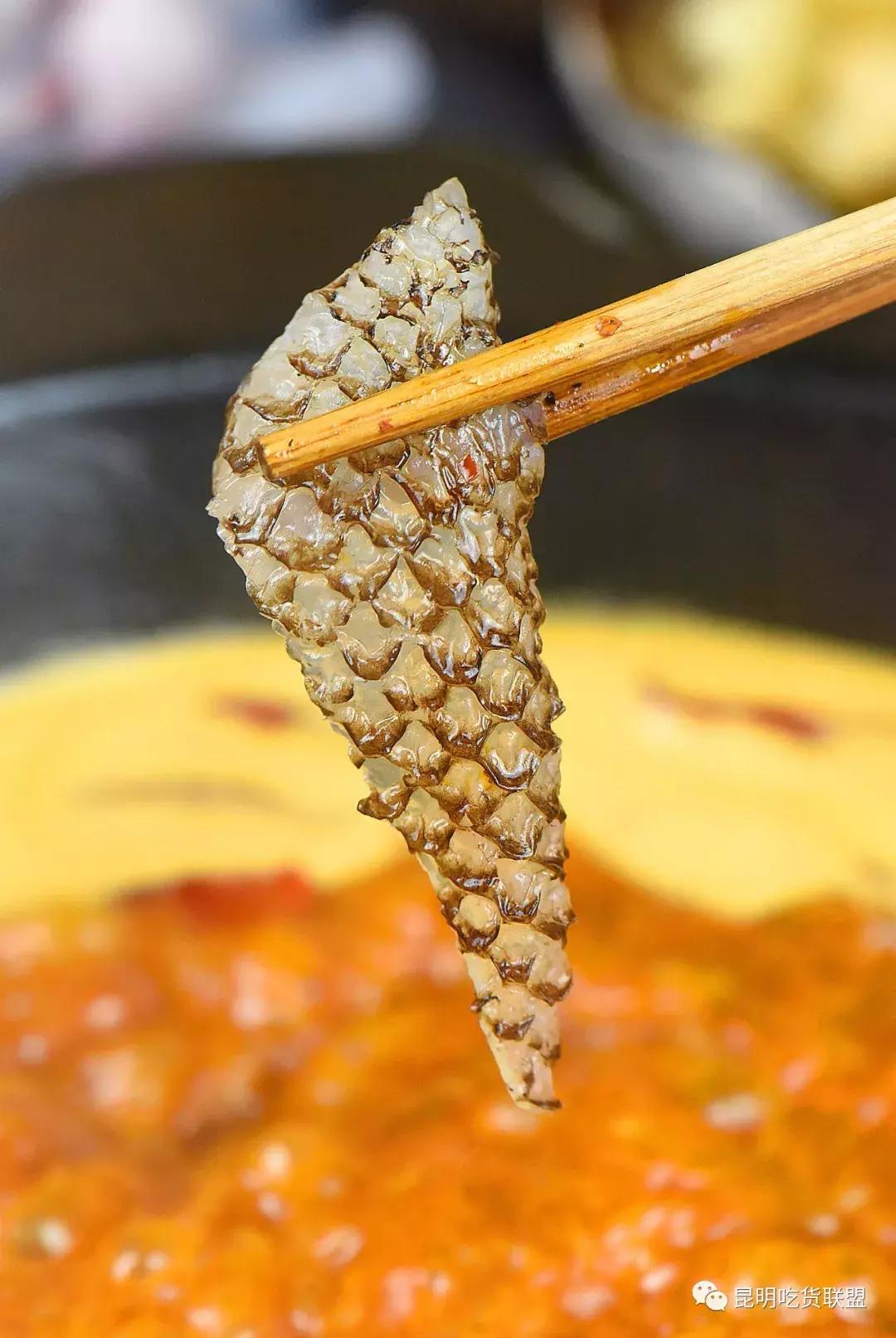 昆明最好吃的清汤鱼火锅,云南地道鱼火锅店推荐