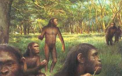 距今约200万年前的最早古人类化石,人类发现570万年前的脚印