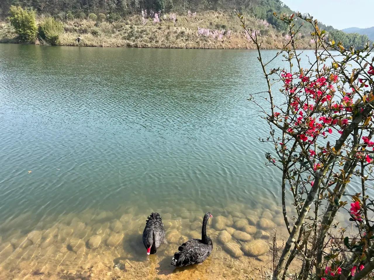 渝西旅游攻略一日游,渝西环线自驾游攻略