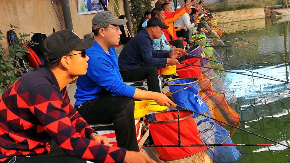 新手钓鱼要考虑什么,新手选鱼竿千万别盲目