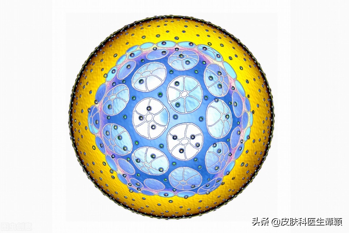 皮肤科疱疹治疗方法,生殖器疱疹怎么和家人解释