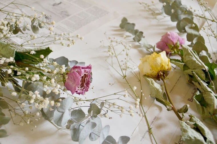 制作干花最好的季节,自制干花什么方法比较好