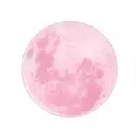 二年级数学运算符号大全,二年级数学巧填数学符号