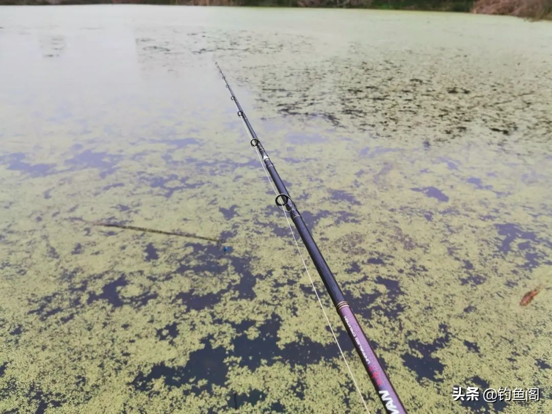 钓黑鱼一定要雷强吗,钓黑鱼用雷强竿什么硬度最好