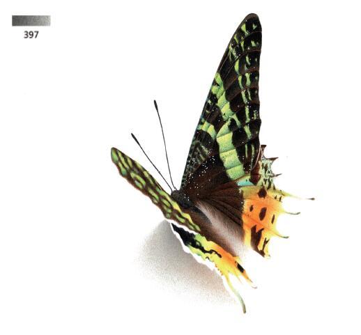 3d错觉画教程,3d错觉画作品