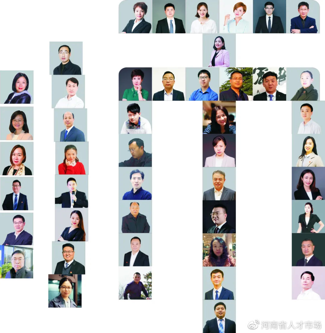 洛阳市大学生就业指导师,学校就业指导讲师团招募