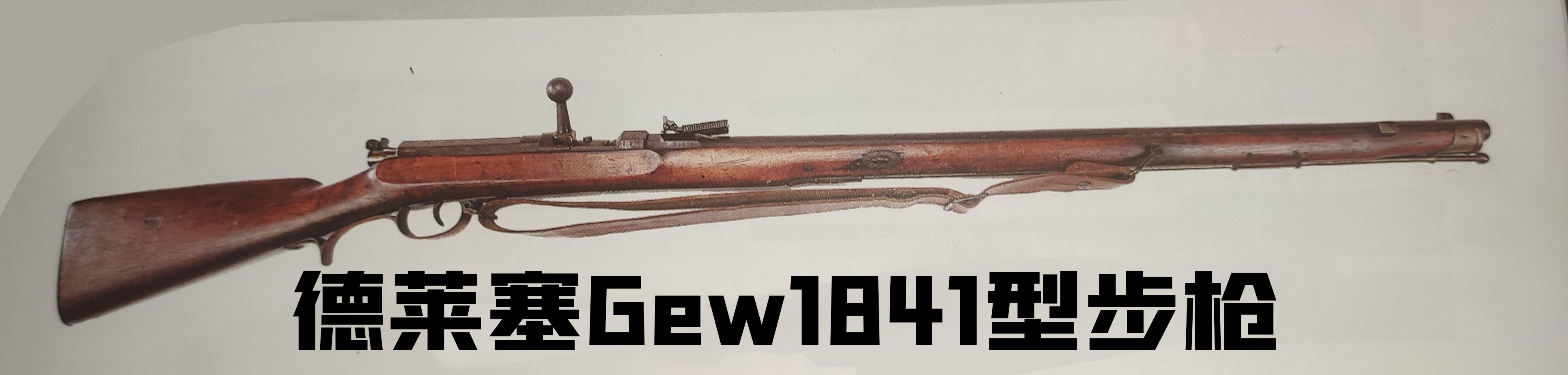 英国枪史图册全篇,德国枪图片