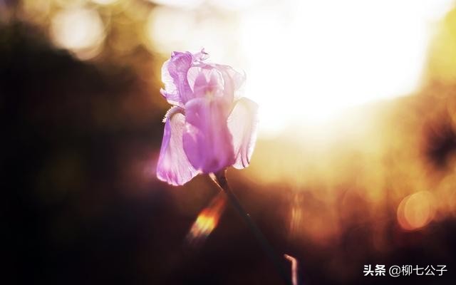 深爱的人删除了微信拉黑电话,当你被你爱的人拉黑