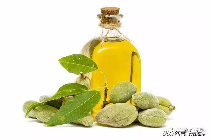 新疆巴旦木历史,巴旦木的前世今生