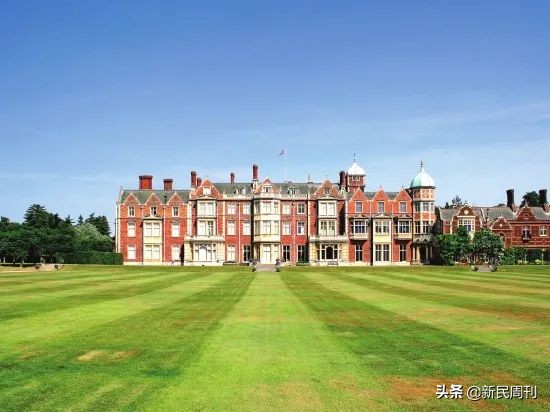 英国女王卖的袜子怎么买,英国女王卖的袜子在哪里买