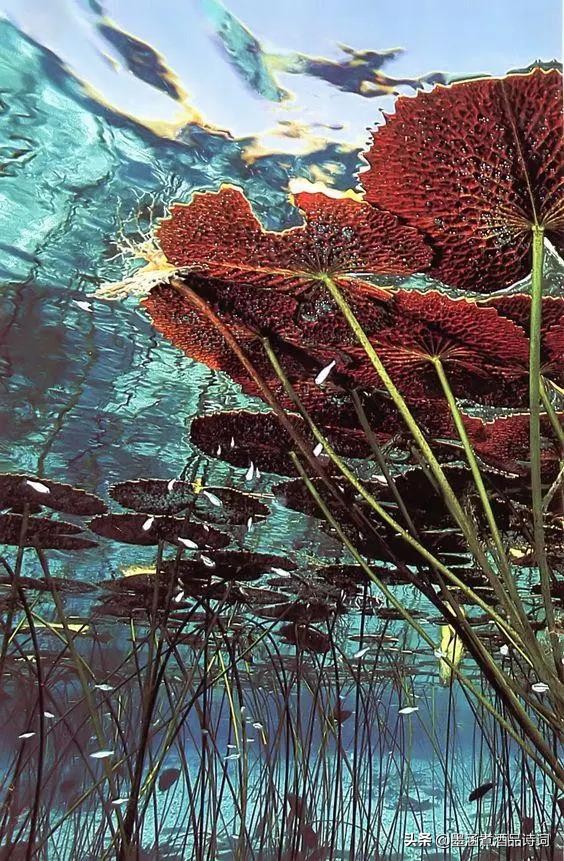 370个成语之最风趣幽默太精辟了,100个幽默成语大全