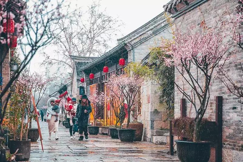 徐州市中心处竟隐藏着一片梅花林，时尚又古香的街区被映成粉色