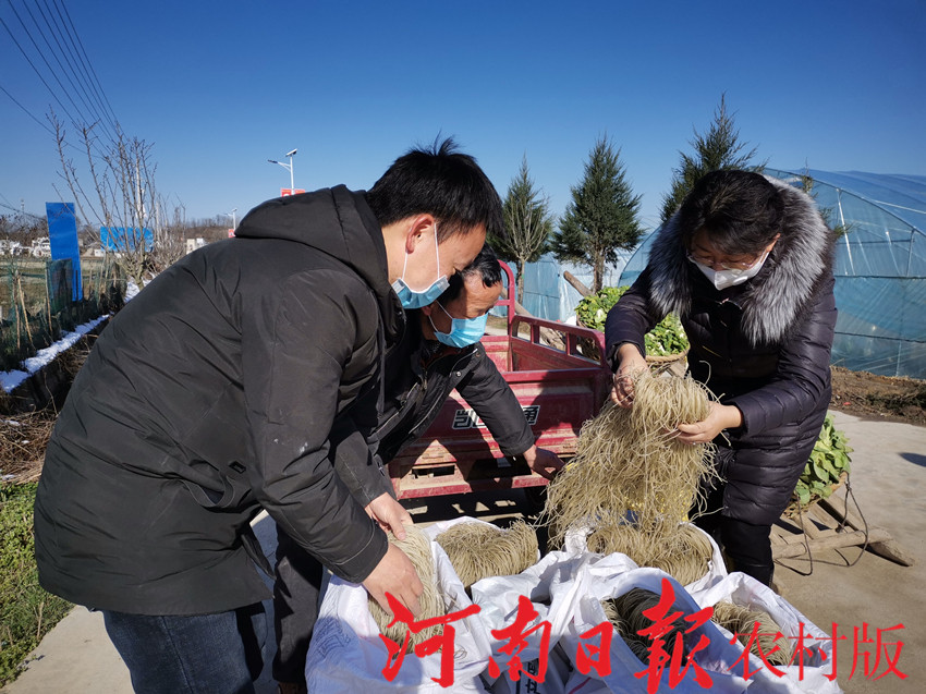 光山南向店政府,光山南向店乡政府