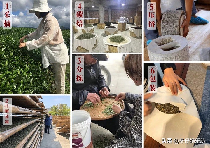 关于白茶的六大谣言,白茶过曝