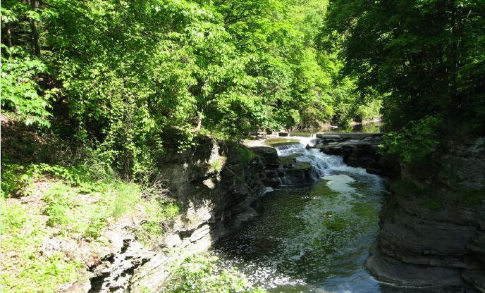 世界十大名校之一——康奈尔大学