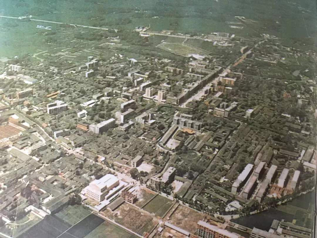 霉变的蚕豆,四川的多味蚕豆