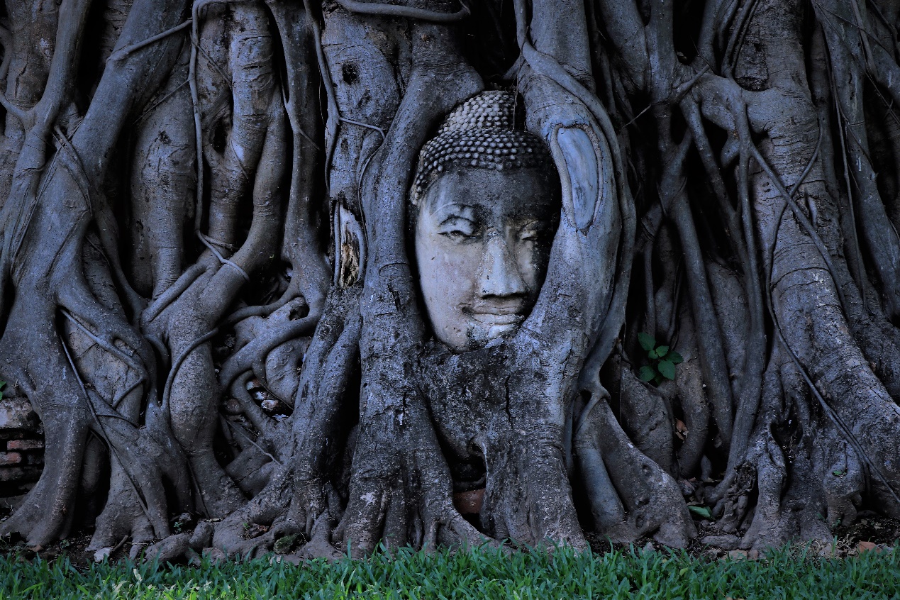 穿越泰国王朝，诉说大城小事/大城府篇