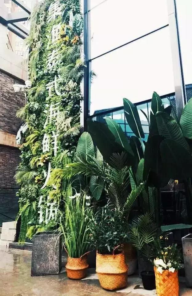 郫都犀浦太古里图片,犀浦太古里最新视频