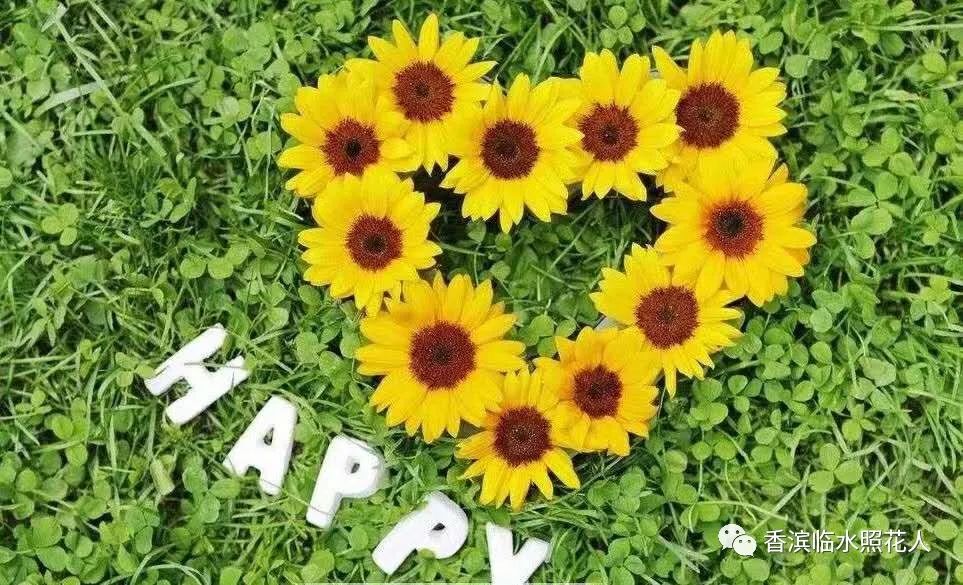 创新作文大赛第十四届获奖名单,2016创意作文大赛