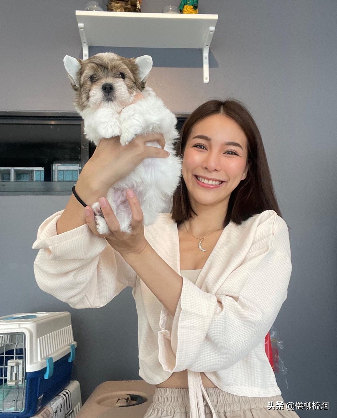 泰星mario和道妹,泰星mario唱歌视频