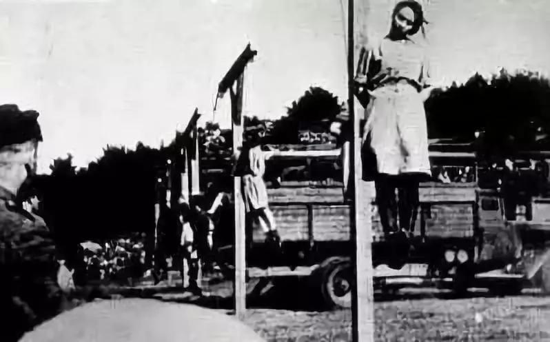 纳粹5大女魔头纪录片,纳粹女魔头有多恐怖