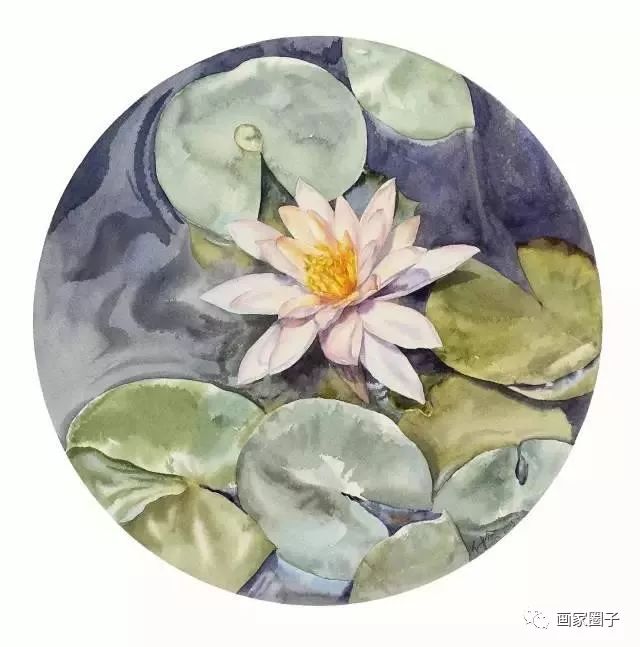 100种漂亮花卉图片,100张漂亮花图