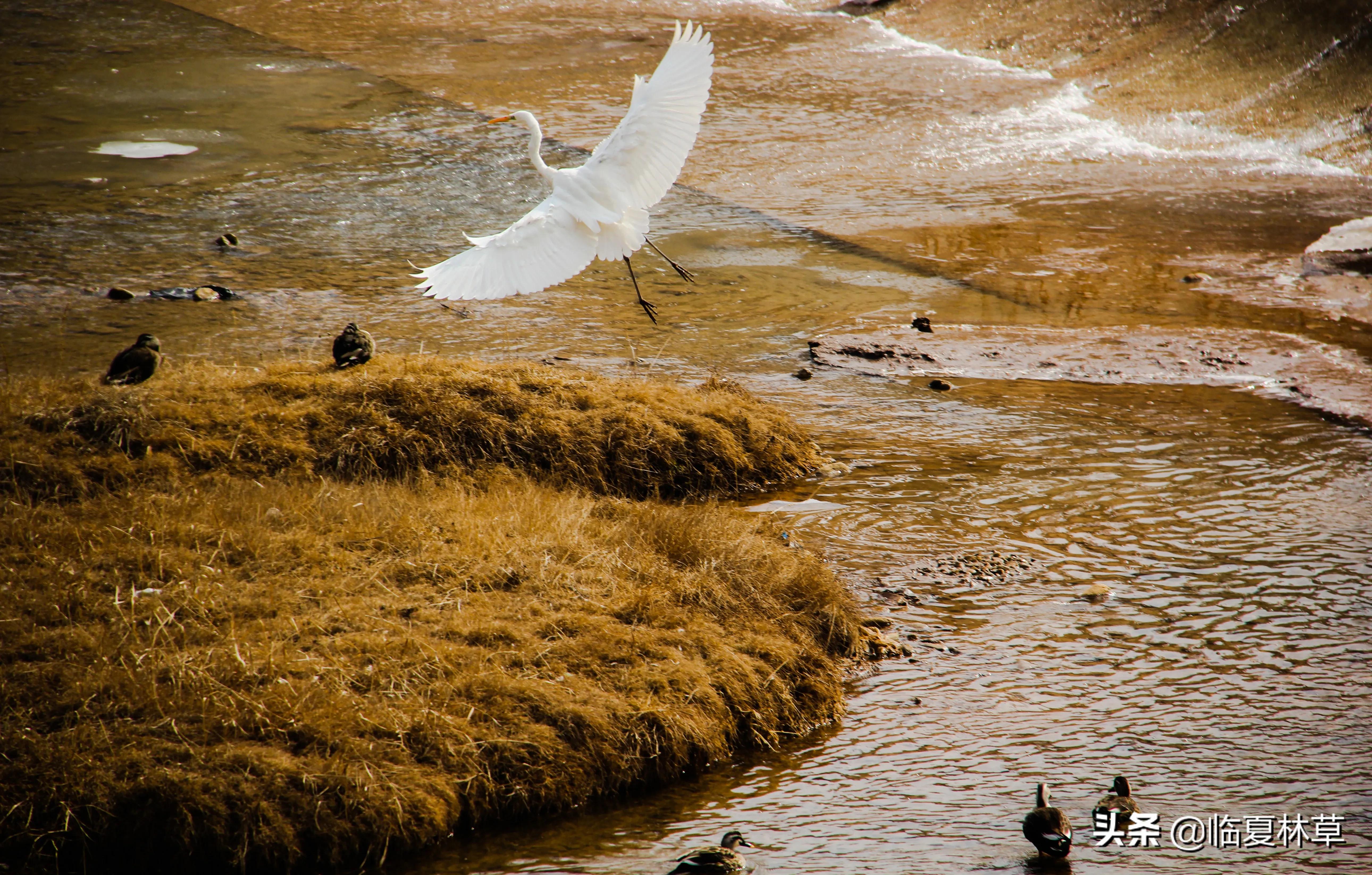林草业务知识,林草局专业知识