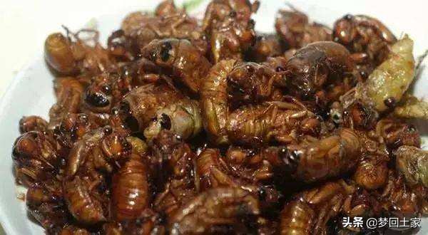 揭秘五种不能吃的街头小吃,全国各地黑暗小吃