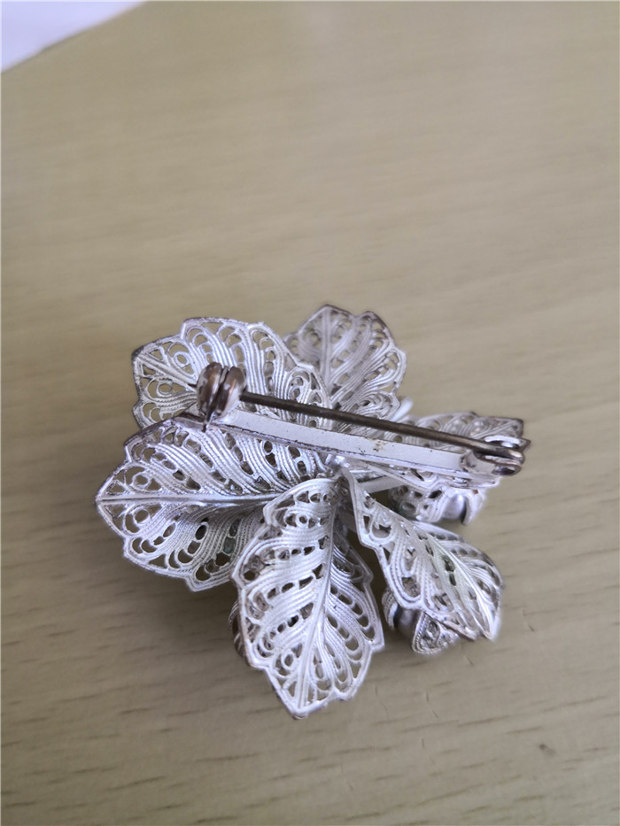 在新西兰免费捡果子,在新西兰捡鲍鱼