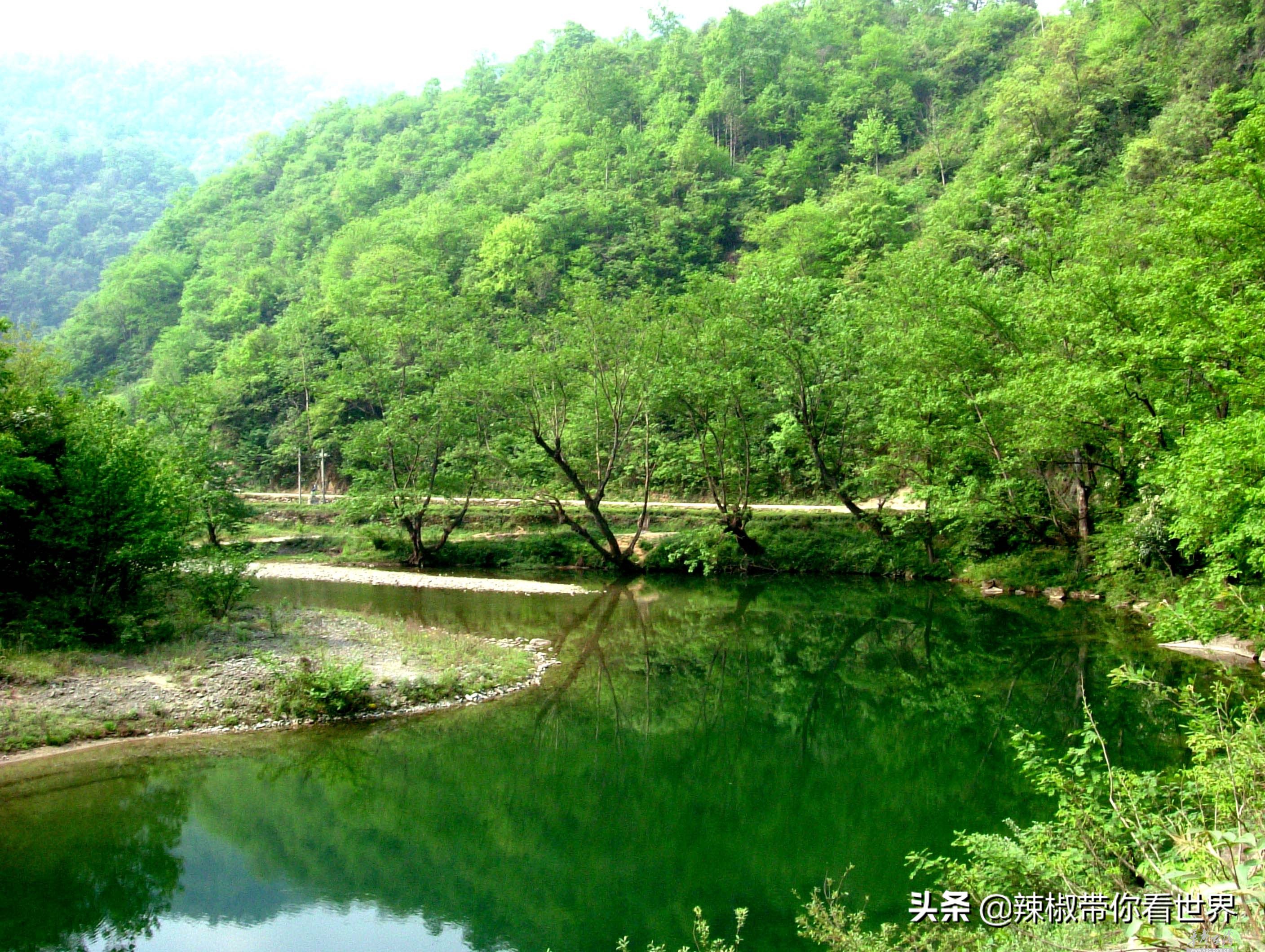 小城故事陇川,康县小城故事