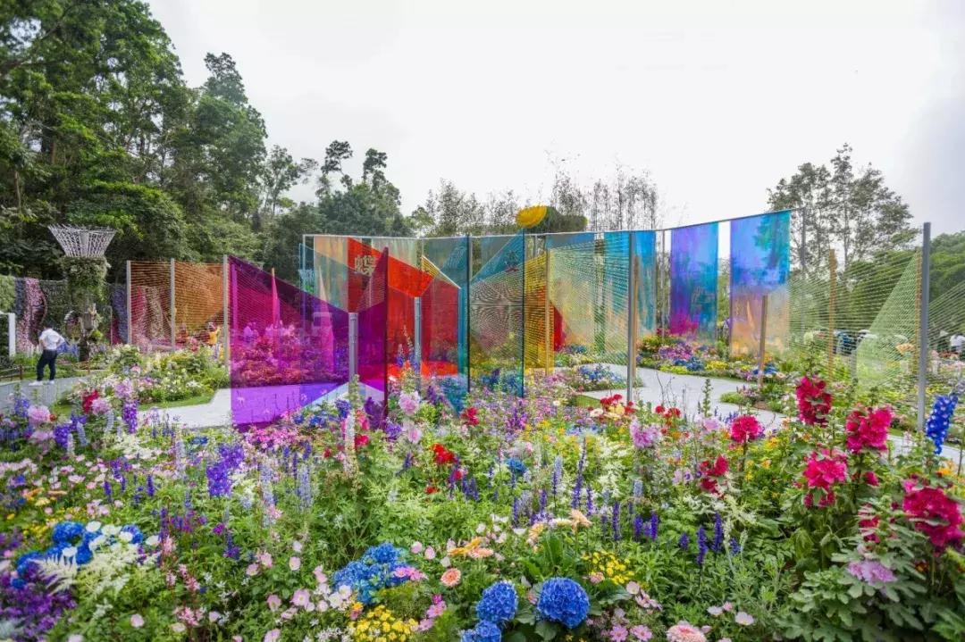 未来10天预警，深圳最最最最火的地方在这里，美女都赶来打卡