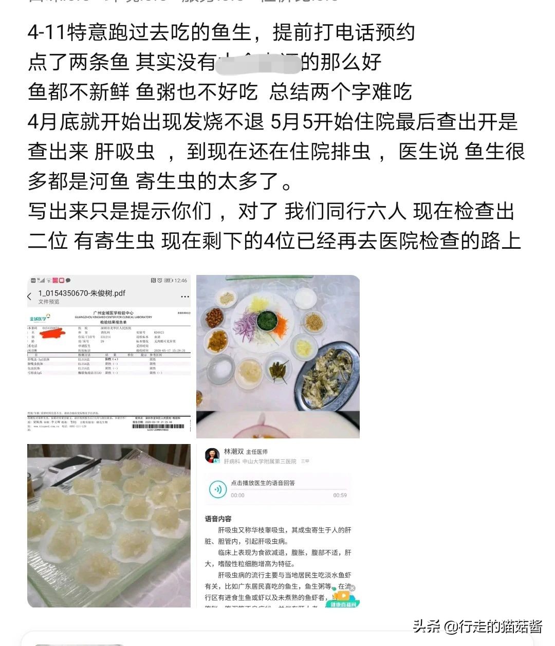顺德渔山肝吸虫,广州鱼生肝吸虫