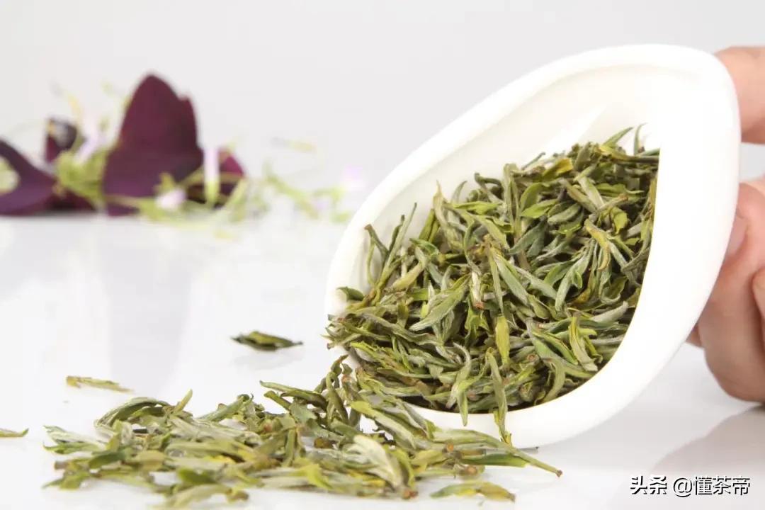 非遗13种绿茶,绿茶十大非遗传承人