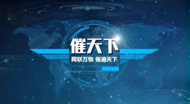网贷逾期最正确的解决方法,网贷逾期被起诉了怎么应对