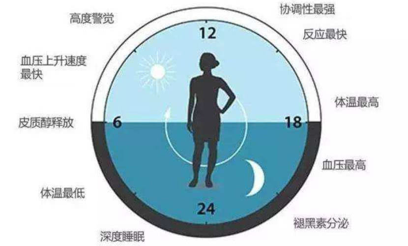 全球公认最健康的作息时间表收藏,全球公认最健康的作息时间表图